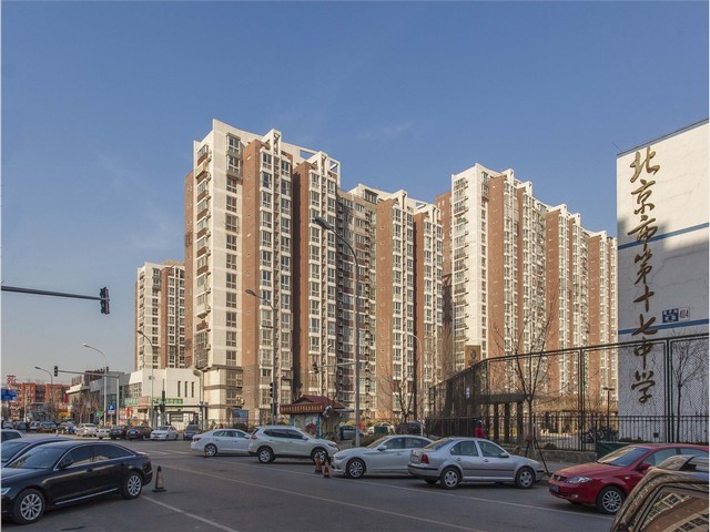 余杭区节庆植物租赁外包